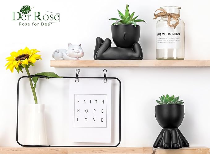 Der Rose Set of 2 Fake Plants Artificial Succulent Plants for Office Desk Accessories Black Bathroom Home Room Aesthetic Decor Indoor