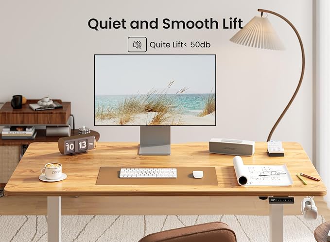 BANTI 40 × 24 Inches Standing Desk, Ergonomic, Electric Height Adjustable, Sit and Stand Up, Computer Office Desk with Splice Board, White Frame/Light Rustic Top