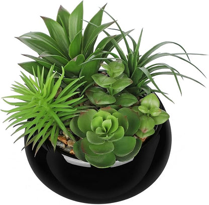 Hollyone Artificial Succulents in Pots Fake Plants Faux Succulent Arrangement Potted Plant in Vase Black Ceramic Planter Bowl for Office Desk Bathroom Shelf Living Room Indoor Outdoor Home Decor