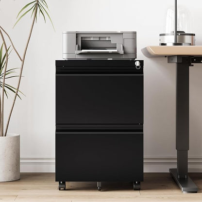 RAVIGIN 2 Drawer File Cabinet，Mobile Filing Cabinet with Lock and Wheels，Fully Assembled Metal Under Desk File Cabinets for A4/Letter/Legal Size（Black
