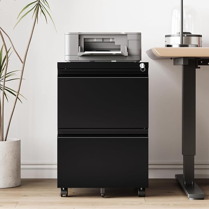 RAVIGIN 2 Drawer File Cabinet，Mobile Filing Cabinet with Lock and Wheels，Un-Assembled Metal Under Desk File Cabinets for A4/Letter/Legal Size（Black