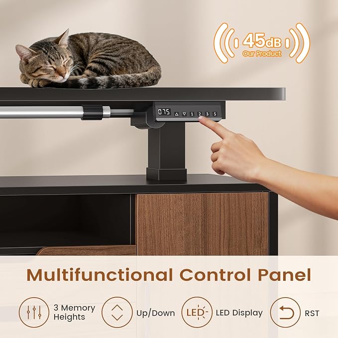 SEDETA L Shaped Electric Standing Desk, 69" x 55" Height Adjustable Office Executive Desk with 4 Drawers and Storage Shelves, Fluted Sit Stand Computer Desk with Power Outlet (Modern Black+ Brown)