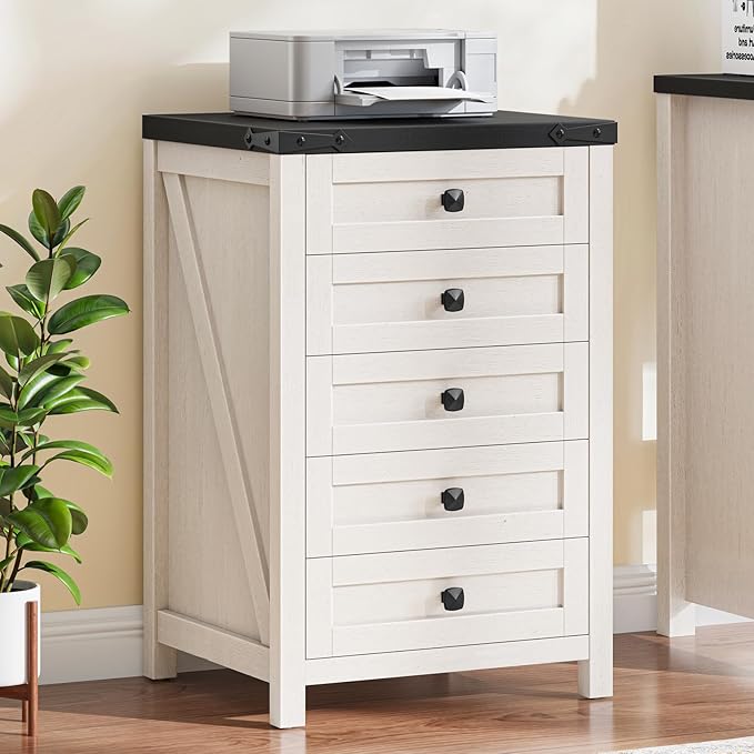 Halitaa 5 Drawer Storage Cabinet, Office Storage Cabinet with 5 Drawers, Small Farmhouse Printer Stand for Home Office, Rustic White and Black
