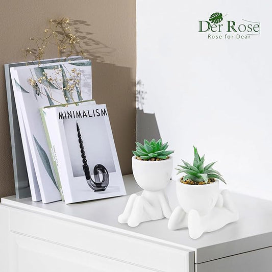 Der Rose 2 Pack Fake Plants Succulents Plants Artificial for Living Room Home Bathroom Office Decor