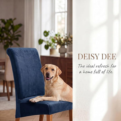 Deisy Dee Stretch XL/Oversized Extra Large Velvet Dining Room Chair Covers for Kitchen Dining，Removable Washable Chair Protectors Slipcovers (Navy, 4)