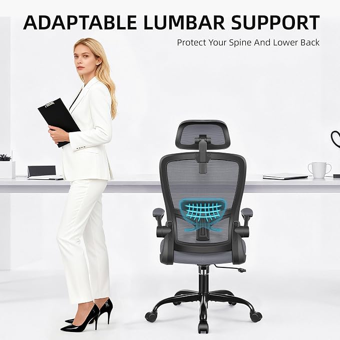 FelixKing Office Chair, Desk Chair with Adjustable Lumbar Support, Ergonomic Computer Chair with High Back and Armrest, Adjustable Height Gaming Chair Home Office Swivel Chair(Dark Gray)