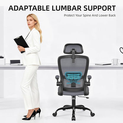 FelixKing Office Chair, Desk Chair with Adjustable Lumbar Support, Ergonomic Computer Chair with High Back and Armrest, Adjustable Height Gaming Chair Home Office Swivel Chair(Dark Gray)