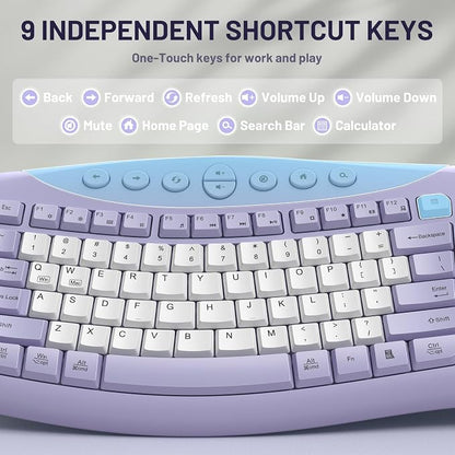Wireless Keyboard and Mouse Combo,2.4G Full Size Ergonomic Curved Silent Keyboard with Fn Multimedia Keys for Office and Home, 3-DPI Quiet Mouse for Windows,Mac OS Desktop/Laptop/PC (Purple-B)
