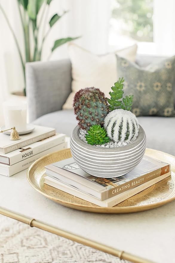 Artificial Cactus Plants Indoor, 5.5" Assorted Small Faux Succulent in Pots Fake Potted Desk Plant with Concrete Bowl Mini Succulents Artificial Cactus Decor for Home Office Bathroom Table Shelf