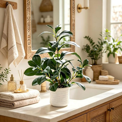 AlphaAcc 16 inch Artificial Indoor Plants Office Desk Faux Plant Peperomia Leaf Ficus Plant Realistic Small Fake Farmhouse Plants for Home Kitchen Bathroom Bedroom Evergreen Decor