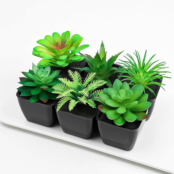 6 Pack Artificial Succulents Plants Potted Small Fake Greenery Plant Realistic in Black Pots for Office Desk Halloween Decorations Bedroom Living Room Shelf Bathroom Decor