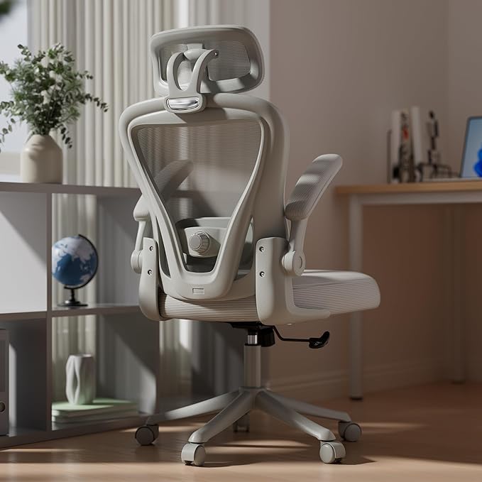 SeekFancy Ergonomic Office Chair M903, Computer Desk Chair | High Back Mesh Office Chair with Adjustable Lumbar Support, Headrest, Flip-Up Armrests, Wheels, 330LBS Capacity, All Grey