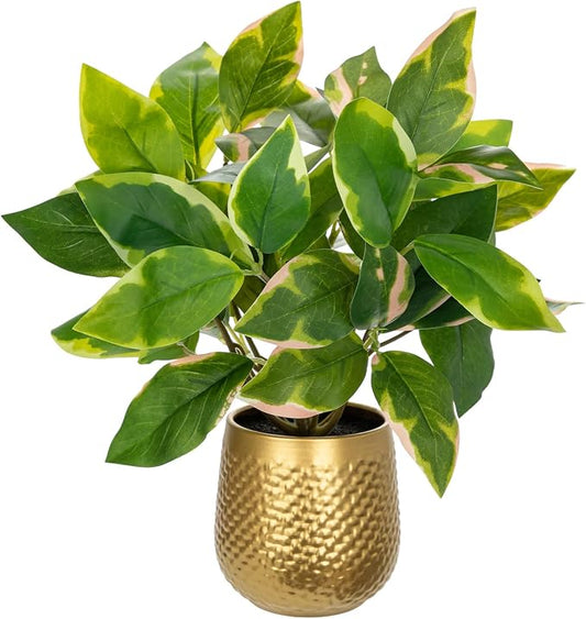 Oairse Articicial Plants Indoor Small Fake Plants in Pots Faux Pothos N‘ Joy Potted Plant Fake Indoor Plants with Gold Pots for Bathroom Living Room Office Desk Shelves