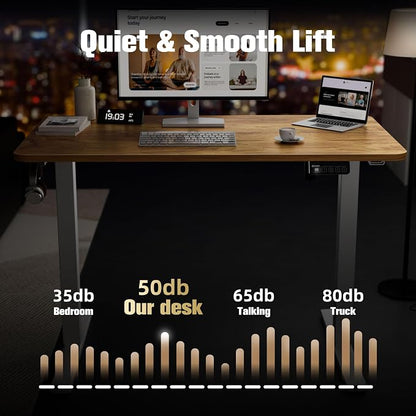 ERGOMAKER 43" Electric Standing Desk, Adjustable Height, Sit Stand Up Desk for Home Office & Computer Workstations, Memory Controller, Light Rustic Brown