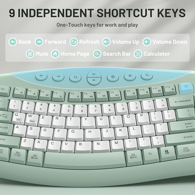 Wireless Keyboard and Mouse Combo,2.4G Full Size Ergonomic Curved Silent Keyboard with Fn Multimedia Keys for Office and Home, 3-DPI Quiet Mouse for Windows,Mac OS Desktop/Laptop/PC (Avocado Green-B)