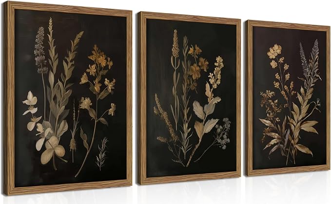 Framed Dark Botanical Wall Art Set of 3, Black Moody Floral Wall Decor Paintings, Dark Academia Decor, Vintage Flower Artwork Prints Pictures for Living Room Bedroom Bathroom 16x24 Inch