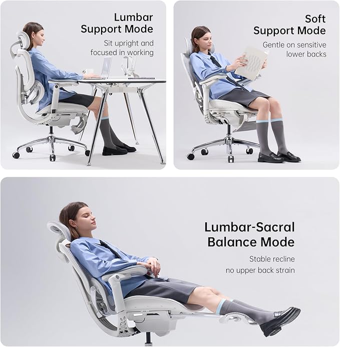 SIHOO Doro C300 Pro V2 Ergonomic Office Chair with Footrest & Full-Body Adaptive Support, 8D Armrests & Breathable Mesh, Comfy High Back Computer Desk Chair for Long Hours, 135° Recline, 2 Packs, GREY