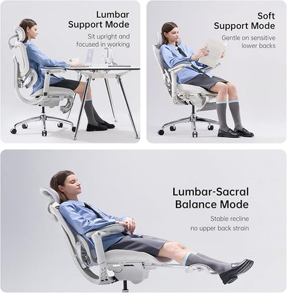 SIHOO Doro C300 Pro V2 Ergonomic Office Chair with Footrest & Full-Body Adaptive Support, 8D Armrests & Breathable Mesh, Comfy High Back Computer Desk Chair for Long Hours, 135° Recline, 2 Packs, GREY