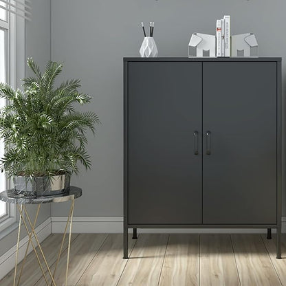 Chshin Black Metal Storage Cabinet,Metal Locker Storage Cabinet with 2 Doors and Shelves,Kitchen Pantry Cabinet,Modern Storage Freestanding Organizer Rust for Home,Kitchen,Office