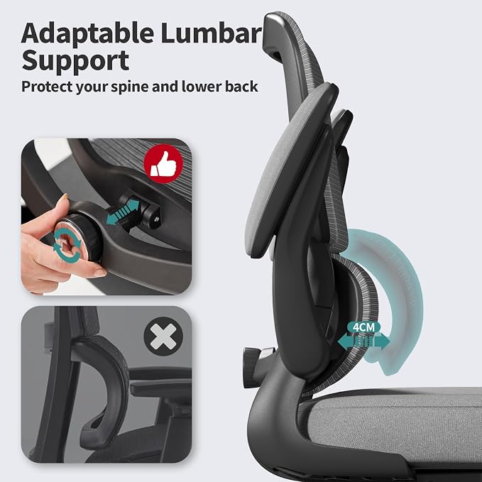TRALT Office Chair - Ergonomic Desk Chair with Adjustable Lumbar Support, Mesh Computer Chair, Executive Chair for Home Office Comfortable Lumbar Support (Fog Gray)