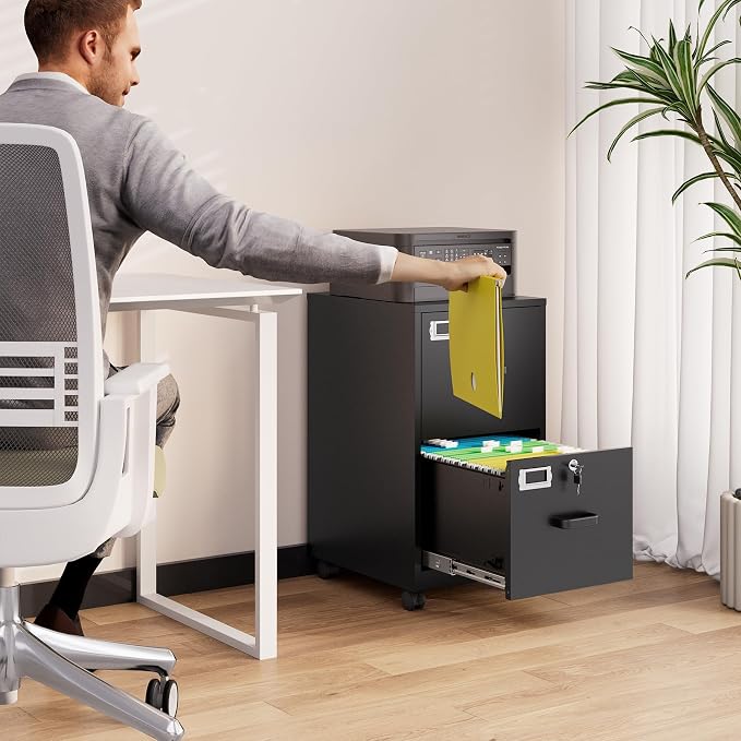 BYNSOE 2 Drawers File Cabinet with Lock Metal Vertical File Cabient with Wheels Mobile File Cabinet for Office Home Legal/Letter/a4 Size Require Assembly