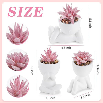 Der Rose 3 Pcs Fake Succulents Plants Artificial Pink Room Office Desk Decor for Women