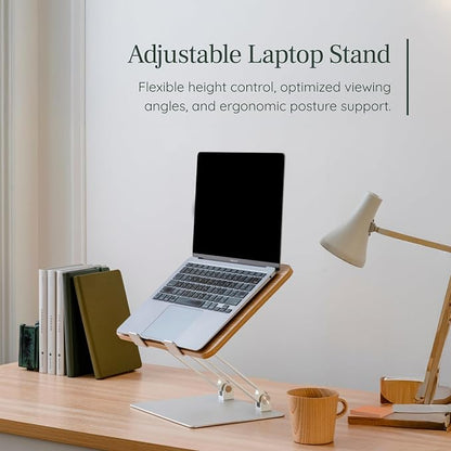 Branch Adjustable Laptop Stand - Portable Wooden Laptop Riser with Customizable Height & Angle - Foldable - Secure Silicon Grips for Home or Office - Walnut