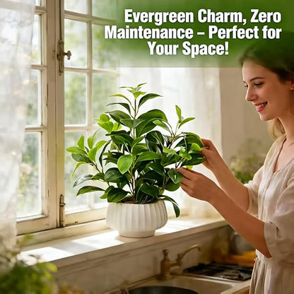 Artificial Peperomia Plants 16.5” Tall Lifelike Faux Greenery in 6” White Ribbed Ceramic Planter Realistic Indoor Fake Potted Plant for Home Office Desk Shelf Bathroom Bedroom Farmhouse Decor