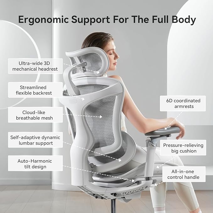 SIHOO Doro C300 Pro Ergonomic Office Chair with Ultra-Soft 6D Armrests, Dynamic Lumbar Support, Seat Depth Adjustment, Adjustable Backrest, Big and Tall Desk Chair 2 Packs (Grey)