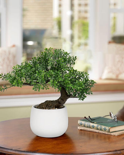 Fake Bonsai Tree Zen Juniper Bonsai Plant 9” Tall Artificial Bonsai Trees with White Ceramic Pot Decorated with Pebbles Desk Plant Indoor Bonsai for Home Office Decor