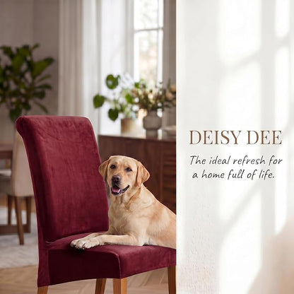 Deisy Dee Stretch XL/Oversized Extra Large Velvet Dining Room Chair Covers for Kitchen Dining，Removable Washable Chair Protectors Slipcovers (Burgandy, 2)