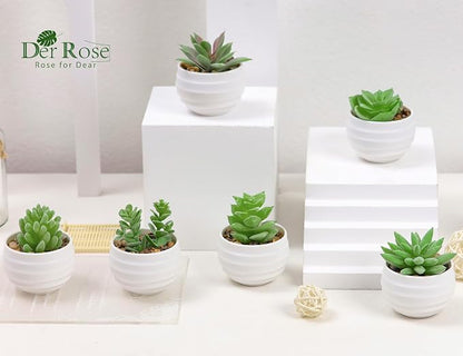 Der Rose 9 Pack Fake Plants Small Realistic Succulents Plants Artificial for Home Room Decor Indoor