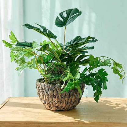 AlphaAcc 15.8" Artificial Monstera Plant in Rattan Woven Round Basket Planter Lifelike Fake Plants Decorative Artificial Plants Tropical Greenery for Kitchen Bathroom Bedroom Living Room Office Decor
