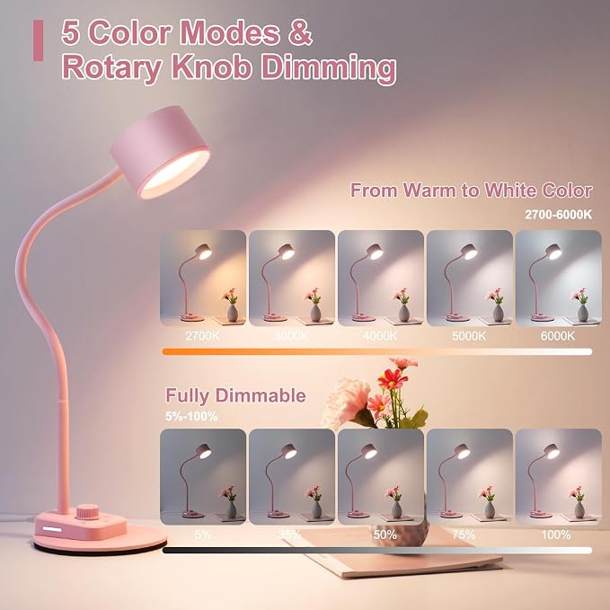 LiFMIRA Cute Desk Lamp with USB C + A Charging Port, 5 Colors Dimmable Reading Lamps, Minimalist Pink Lamp for Kids, Eye Care Metal Bedside Table Lamp with Timer Flexible Desk Light for Home Office
