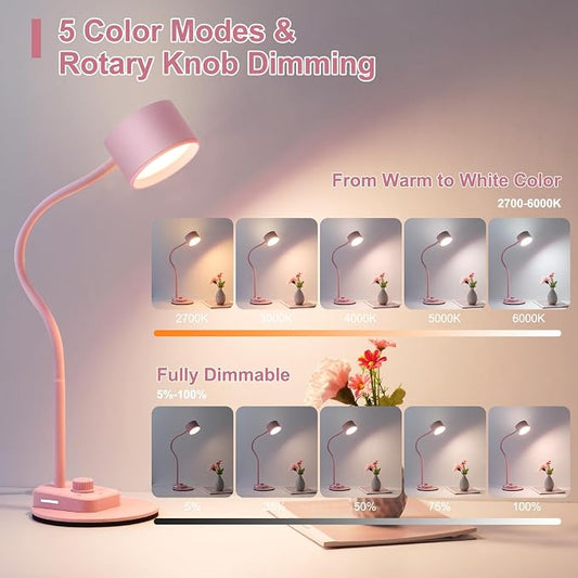 LiFMIRA Cute Desk Lamp with USB C + A Charging Port, 5 Colors Dimmable Reading Lamps, Minimalist Pink Lamp for Kids, Eye Care Metal Bedside Table Lamp with Timer Flexible Desk Light for Home Office