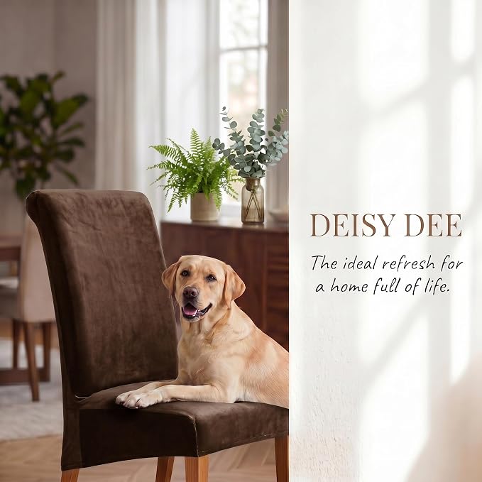 Deisy Dee Stretch XL/Oversized Extra Large Velvet Dining Room Chair Covers for Kitchen Dining，Removable Washable Chair Protectors Slipcovers (Brown, 4)