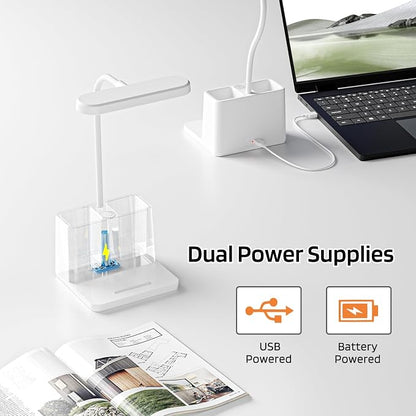 AXX Rechargeable Small Desk Lamp for Home Office Bedroom, Study Table Light for Kids Teens, White, LED, Pen Holder, Mini, Gooseneck, College Dorm Room Lighting for Computer Keyboard Desktop Task