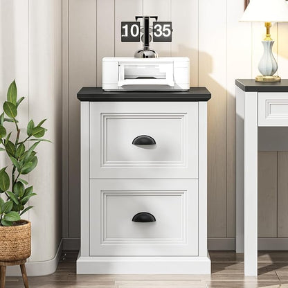Halitaa Vertical File Cabinet, Filing Cabinet with 2 File Drawers, Farmhouse Small File Cabinet Fits Letter/A4 Size, Wooden Printer Stand, Under Desk Cabinets for Home Office, White and Black