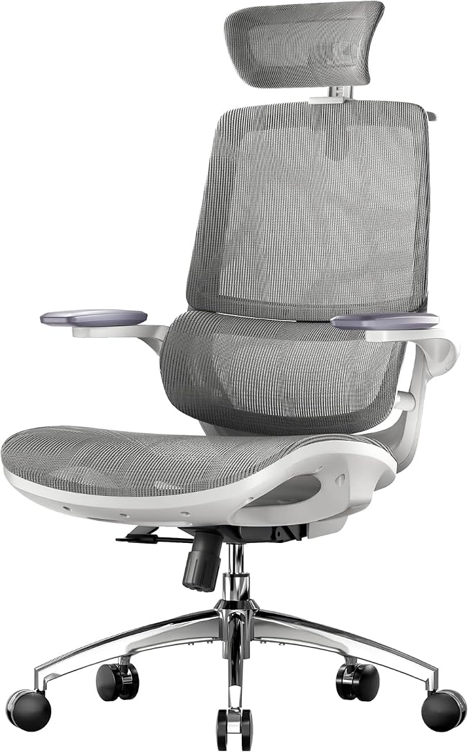 SIHOO M59AS Ergonomic Office Chair, Desk Chair with 3D Flip-up Armrests, Computer Chair with Dual Back Design and Adaptive Dynamic Lumbar Support Grey