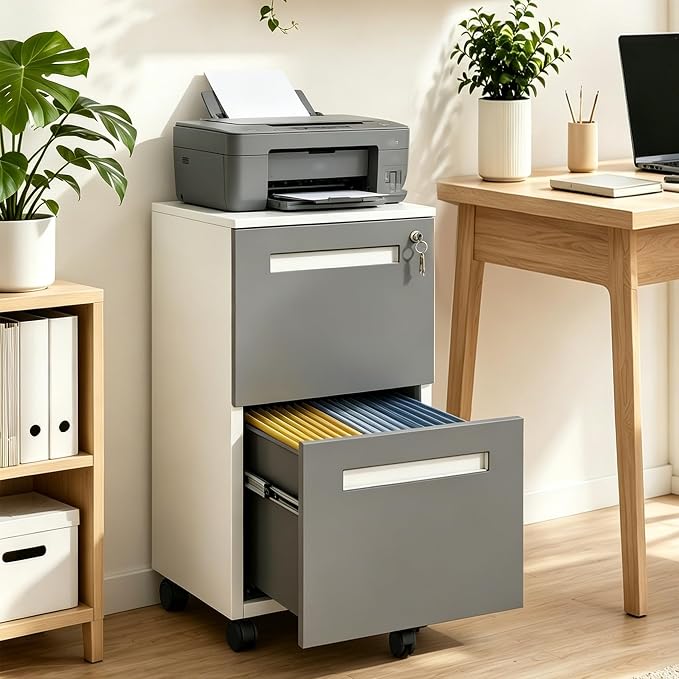 SAWJEC 2 Drawer File Cabinet with Lock, Fully Assembled Filing Cabinet Rolling Printer Stand Under Desk fits Legal/A4/Letter Size, Home Office Storage,18" D x 15" W x 27" H, Grey