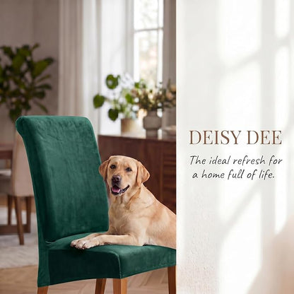 Deisy Dee Stretch XL/Oversized Extra Large Velvet Dining Room Chair Covers for Kitchen Dining，Removable Washable Chair Protectors Slipcovers (Kelly, 2)