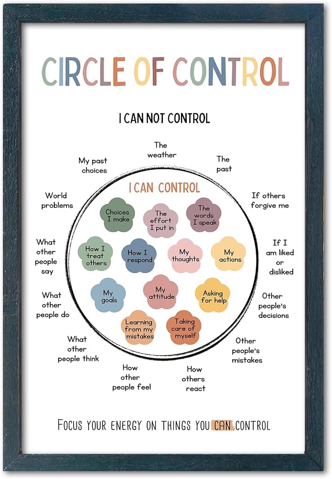 Circle of Control Wall Art, 11x16 in Framed, Inspirational Sign for Office