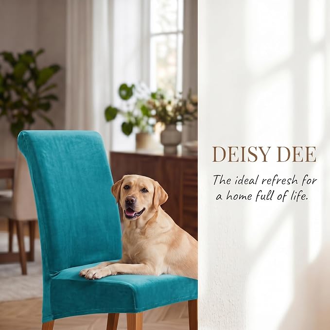 Deisy Dee Stretch XL/Oversized Extra Large Velvet Dining Room Chair Covers for Kitchen Dining，Removable Washable Chair Protectors Slipcovers (Turqouise, 2)