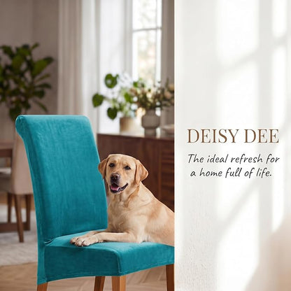 Deisy Dee Stretch XL/Oversized Extra Large Velvet Dining Room Chair Covers for Kitchen Dining，Removable Washable Chair Protectors Slipcovers (Turqouise, 2)