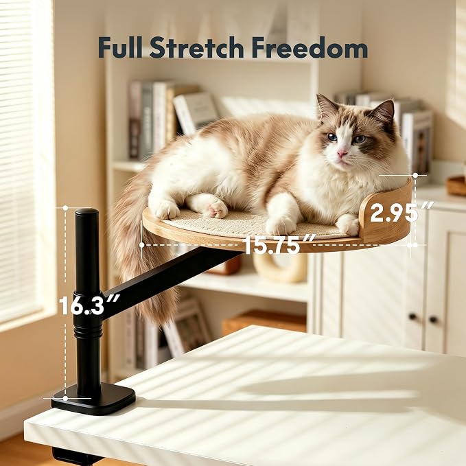 FLEXISPOT EN2 55" x 28" Standing Desk with Solid Wood Cat Bed Bundle, 1" Thick Desktop, Desk-Mounted Cat Perch with Scratcher, White