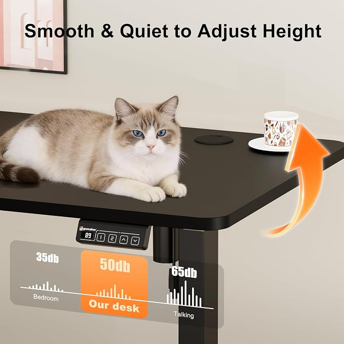 ERGOMAKER Electric Standing Desk, 63" x 23.6" Height Adjustable Sit Stand Desk with Splice Board for Home Office, Computer Desk Memory Preset (Black Frame, Black Desktop)