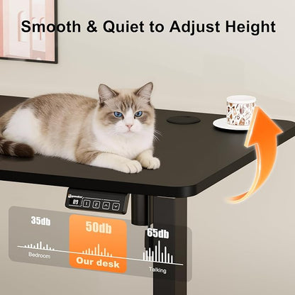 ERGOMAKER Electric Standing Desk, 63" x 23.6" Height Adjustable Sit Stand Desk with Splice Board for Home Office, Computer Desk Memory Preset (Black Frame, Black Desktop)