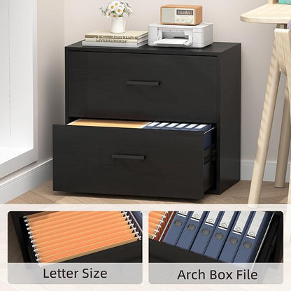 Lateral File Cabinet, Wood 2 Drawer File Cabinet with Hanging Bars for Letters, Black Horizontal File Cabinets for Home Office, Black