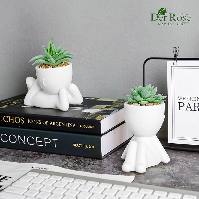 Der Rose 2 Pack Fake Plants Succulents Plants Artificial for Living Room Home Bathroom Office Decor