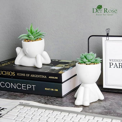 Der Rose 2 Pack Fake Plants Succulents Plants Artificial for Living Room Home Bathroom Office Decor